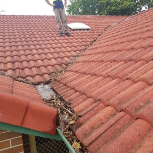 Cleaning leaves in gutters of Brisbane tiled roof