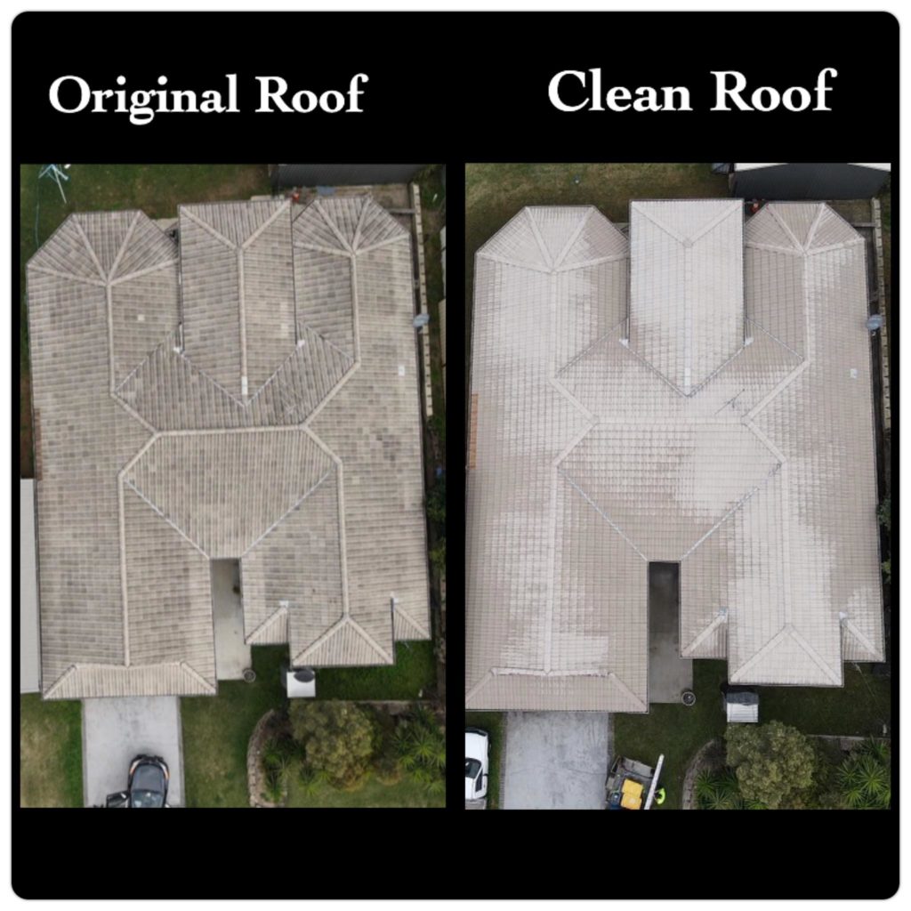 original roof next to clean and restored roof