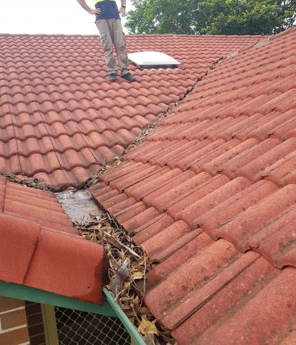 Roof Knight gutter cleaner removing leaves in gutters of a Brisbane home's roof
